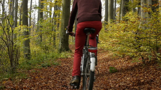 two cyclists in a park in autumn riding away from the camera