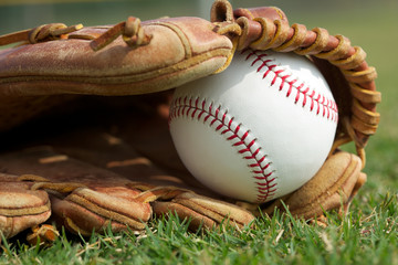 Baseball in a Glove