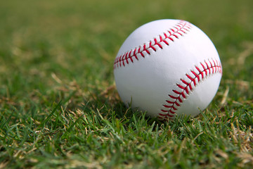 Baseball on the Outfield Grass