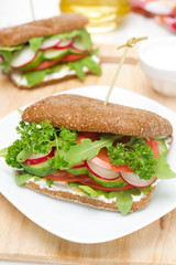 sandwich with cottage cheese, greens and vegetables close-up