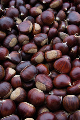 Castagne