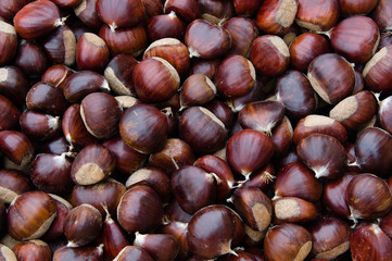 Castagne