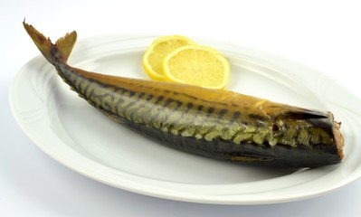 smoked mackerel