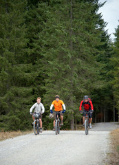 Obraz premium Gruppe Mountainbiker auf Forstweg