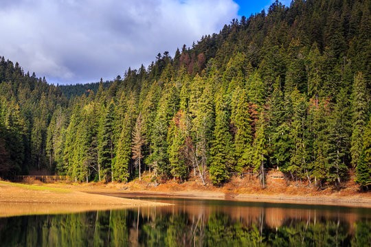 Autumn Mountain lake in coniferous forest