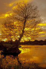 sunset river tietar