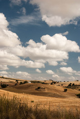 Fototapeta premium The landscape of Andalusia