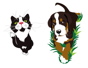 Cat and dog. Illustration. Isolated on white background