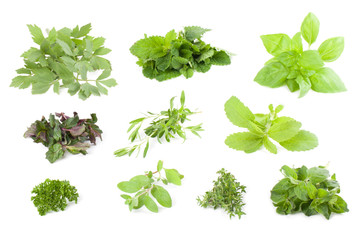 Herbs collection