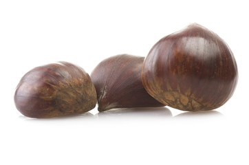 chestnuts group close up on the white