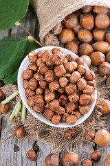 Fresh Hazelnuts