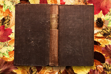 Altes Buch auf Blätter