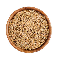 Oat grains