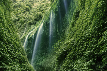 Madakaripura Waterfall in Indonesia