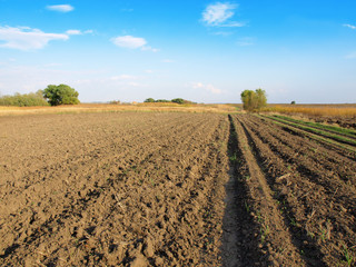 plowed field