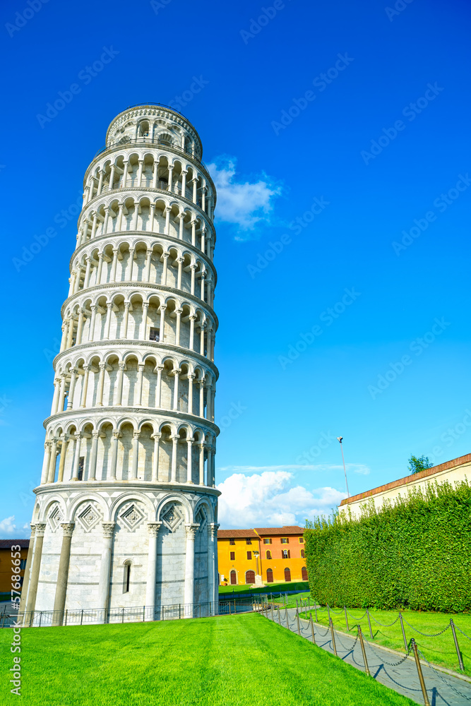 Wall mural Leaning Tower of Pisa, Miracle Square. Italy