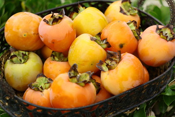 persimmon in basket with green background