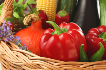 Colourful vegetables in the basket