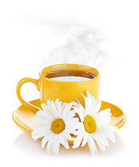 fresh tea camomile flowers