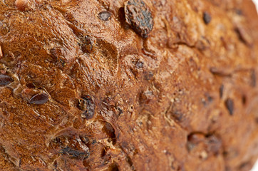 background texture of a porous brown bread