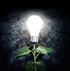light bulb with plant as the filament