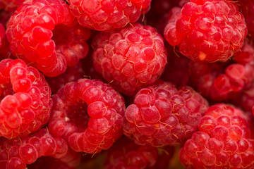 Raspberry fruit background