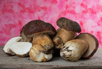 Forest mushrooms - Boletus edulis