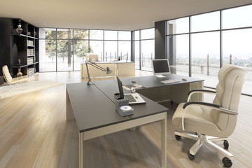 Luxury Office Area