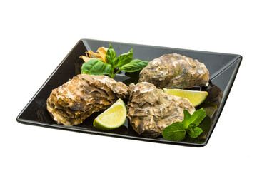 Fresh oyster