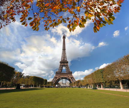 	Eiffel Tower with autumn leaves in Paris, France