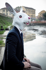 rabbit mask man in a desolate landscape