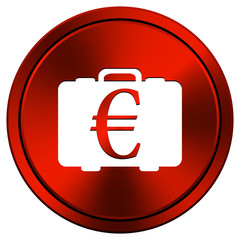 Euro bag icon