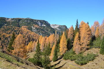 Fototapeta na wymiar Dolomity jesienią