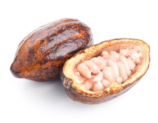 raw cocoa pod and beans isolated on a white