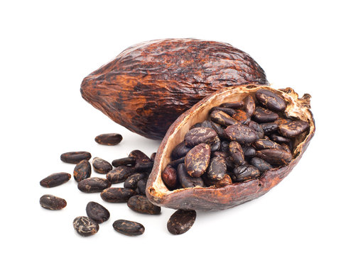 cocoa pod and beans isolated on a white