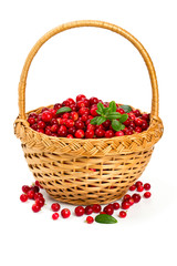 cowberries in a basket