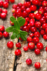 cowberries on wooden surface