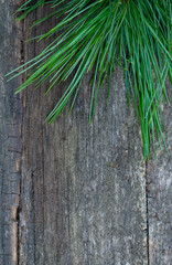 twig of cedar tree on wooden surface