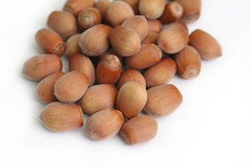 nocciole_ sfondo bianco
