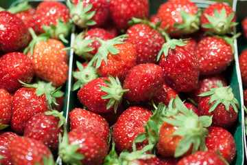 baskets of sweet strawberries