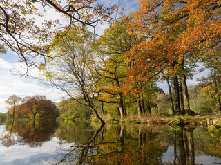 Autumn colors reflected over the Lake Windermere