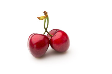 Cherry.