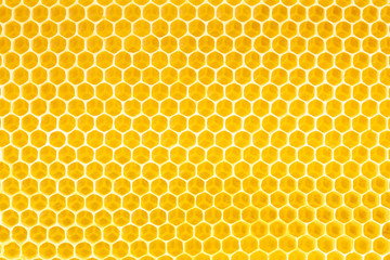 honing op honingraatachtergrond