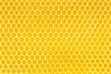 Wall murals Bee honey in honeycomb background