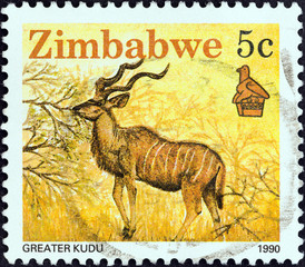 Greater kudu (Zimbabwe 1990)