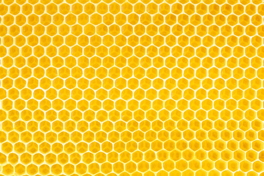 Honey Comb Background Images – Browse 325,831 Stock Photos, Vectors, and  Video