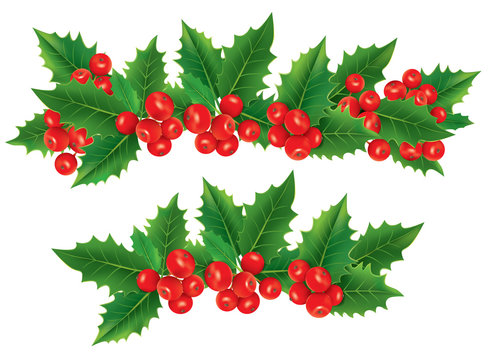 Christmas garland of holly berries