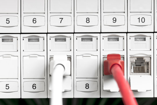 Kabelverbindung rotes und weisses Computerkabel