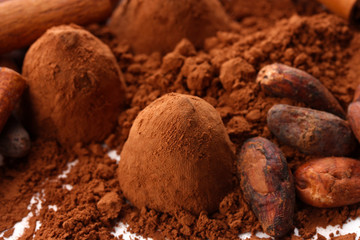 Chocolate truffles and cocoa, close up