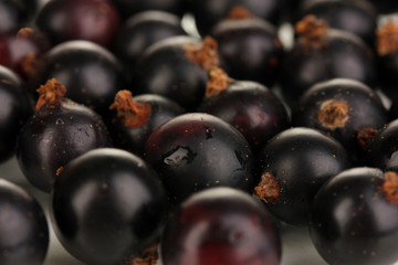 Fresh black currant close up